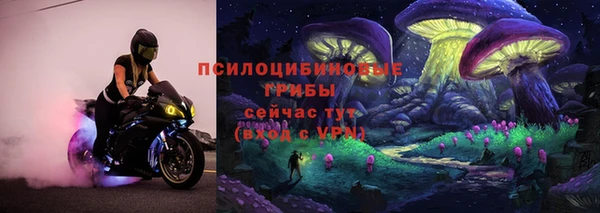 ALPHA PVP Гусев
