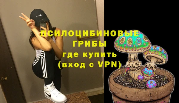 ALPHA PVP Гусев