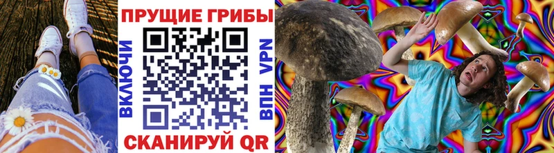 Купить закладки  Кондопога  Галлюциногенные грибы прущие грибы 